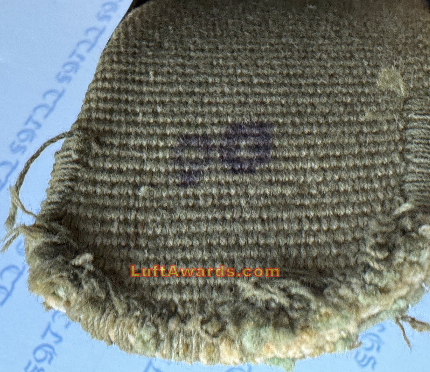 Tropical Web Belt Complete w/Buckle and D Ring Luftwaffe