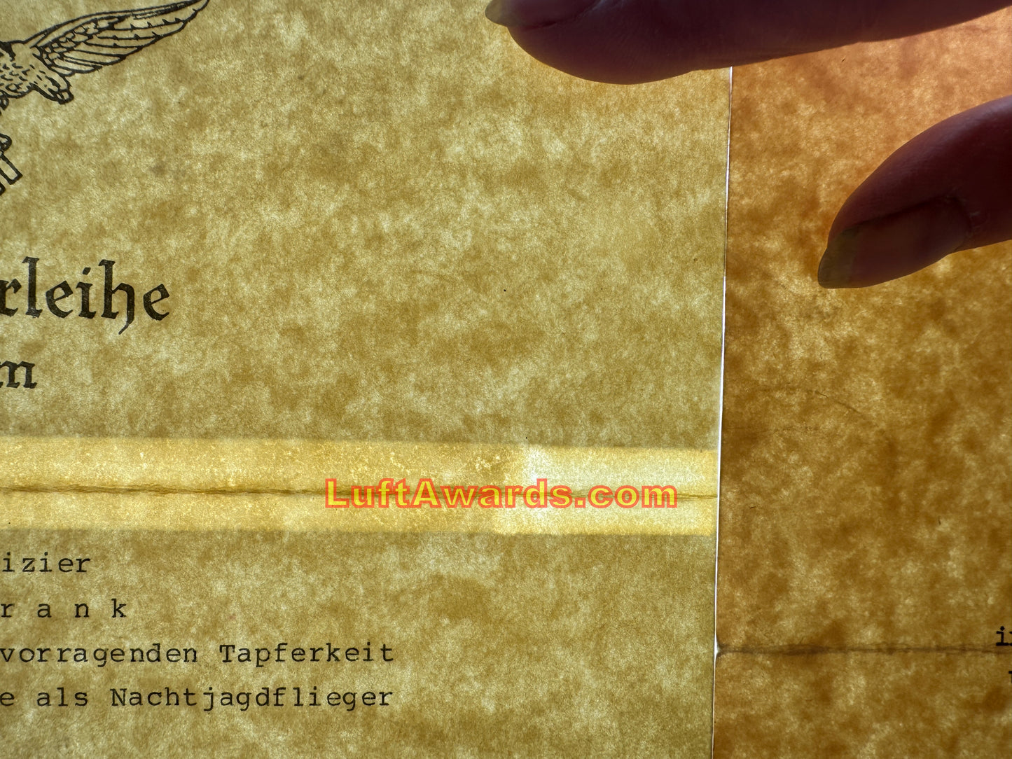 Z NFS Honor Goblet Document to RK with Oaks Winner Nachtjagdgeschwader CONTROVERSIAL