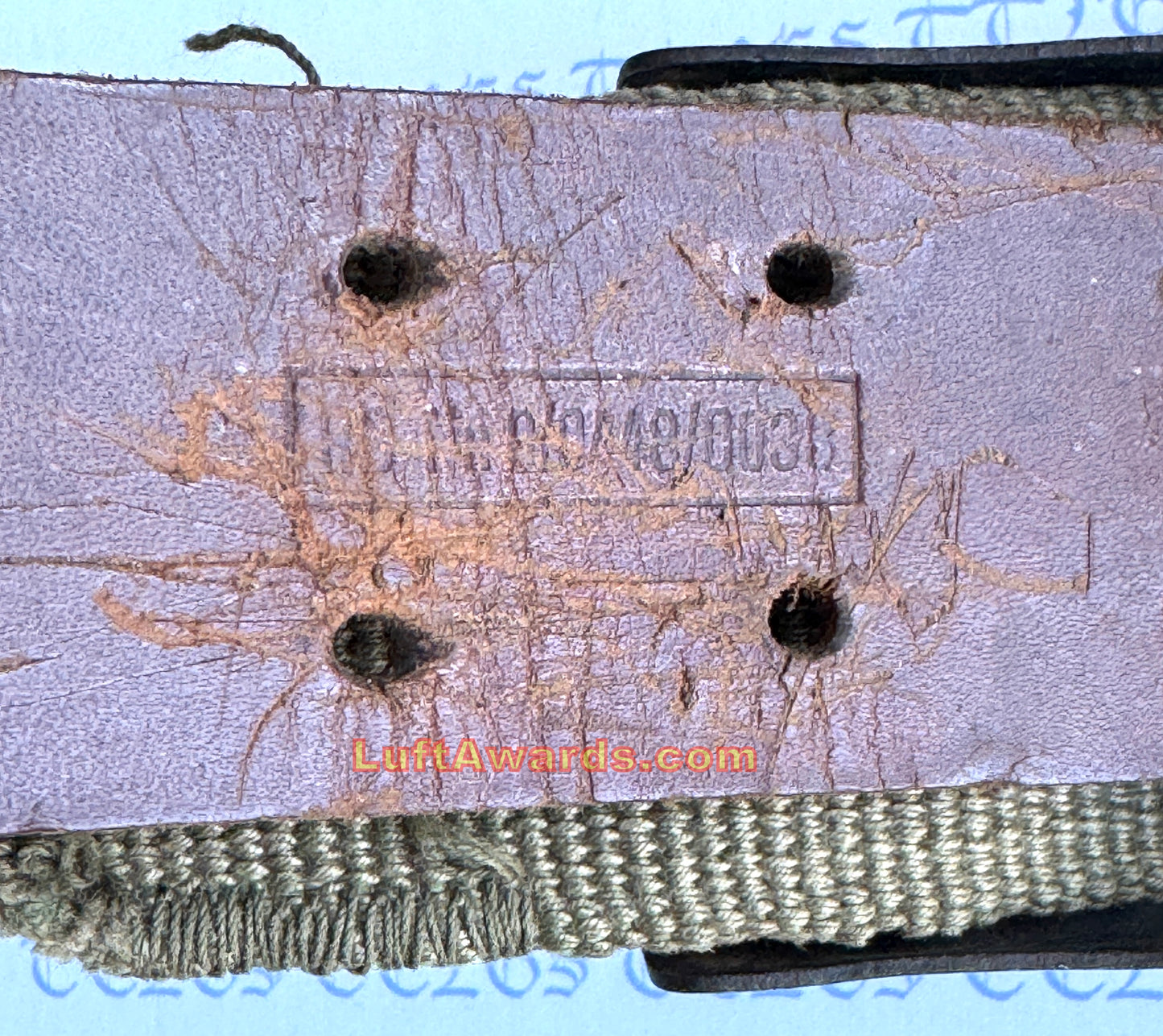 Tropical Web Belt Complete w/Buckle and D Ring Luftwaffe